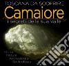 Camaiore. I segreti della sua valle. Storia natura archeologia speleologia libro