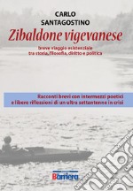 Zibaldone vigevanese. Breve viaggio esistenziale tra storia, filosofia, diritto e politica libro