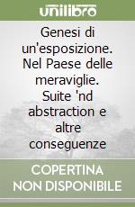 Genesi di un'esposizione. Nel Paese delle meraviglie. Suite 'nd abstraction e altre conseguenze