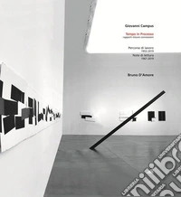 Giovanni Campus. Tempo in processo. Rapporti, misure, connessioni. Bruno D'Amore. Percorso di lavoro 1953-2019. Note di lettura 1967-2019. Ediz. illustrata libro