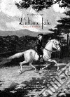 L'ultima fata. Fiaba per bambini libro