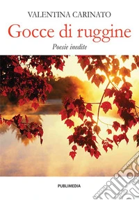 Gocce di ruggine libro