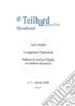 La saggezza e l'esperienza. La saggezza e l'esperienza-Diafania di una luce fulgida sul sentiero del sentire. Vol. 7/1