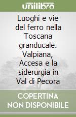 Luoghi e vie del ferro nella Toscana granducale. Valpiana, Accesa e la siderurgia in Val di Pecora libro