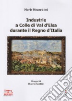 Industrie a Colle di Val d'Elsa durante il Regno d'Italia. Ediz. illustrata libro