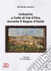 Industrie a Colle di Val d'Elsa durante il Regno d'Italia. Ediz. illustrata libro