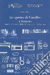Le «Grotte di Catullo» a Sirmione. Guida alla visita della villa romana e del museo libro
