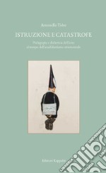 Istruzione e catastrofe. Pedagogia e didattica dell'arte al tempo dell'analfabetismo strumentale libro