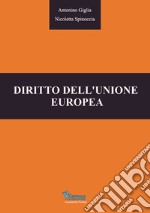 Diritto dell'Unione europea libro