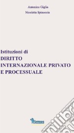 Istituzioni di diritto internazionale privato e processuale libro