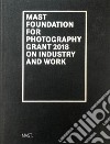 Mast foundation for photography grant 2018 on industry and work. Ediz. italiana e inglese libro di Stahel U. (cur.)