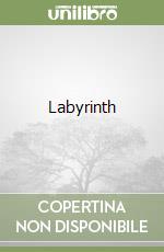 Labyrinth libro