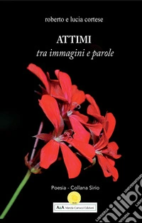 Attimi tra immagini e parole