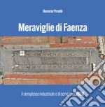 Meraviglie di Faenza. Il complesso industriale e di servizi nel 2020 libro