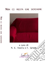 Non ci resta che scrivere libro