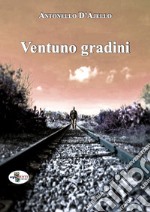 Ventuno gradini libro