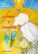 Cammino a Compostela libro