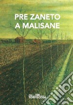 Pre Zaneto a Malisane. Testo friulano e italiano libro