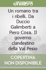 Un romano tra i ribelli. Da Duccio Galimberti a Piero Cosa. Il governo clandestino della Val Pesio libro