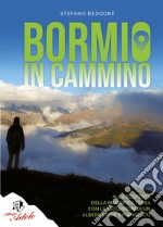 Bormio in cammino. Alla scoperta della magnifica terra con le escursioni di un albergatore innamorato