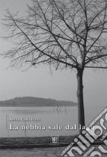 La nebbia sale dal lago