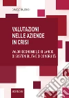 Valutazioni nelle aziende in crisi. Valori economici, di bilancio, di sostenibilità e di congruità libro