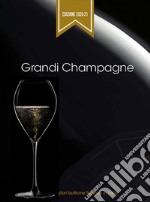 Grandi Champagne 2020-2021. Guida alle migliori bollicine francesi in Italia libro