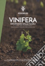 Cristalli d'uva. Il mosto concentrato rettificato solido nelle applicazioni enologiche libro