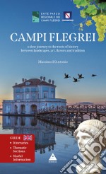 Campi Flegrei. A slow journey to the roots of history between landscapes, art, falvors and tradition libro usato