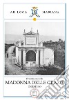 Il santuario della Madonna delle Grazie in Chiusdino libro