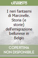 I neri fantasmi di Marcinelle. Storia (e storie) dell'emigrazione bellunese in Belgio