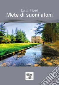 Mete di suoni afoni