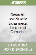 Gerarchie sociali nella Sicilia greca. Le case di Camarina libro