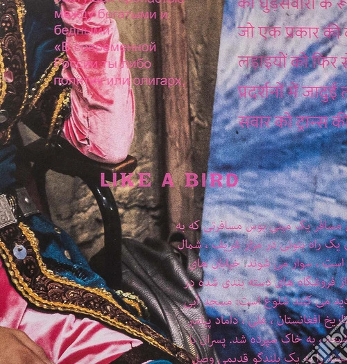 Like a bird. Circus. Ediz. multilingue