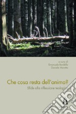 Che cosa resta dell'anima? Sfide alla riflessione teologica