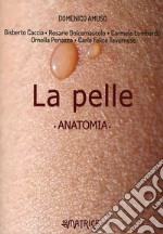 La pelle. Anatomia