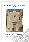 La cappella di Loreto in Santa Lucia dei Magnoli a Firenze libro