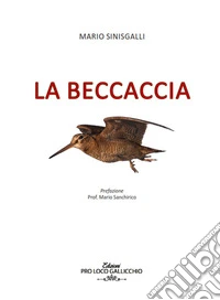 La beccaccia