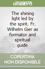 The shining light led by the spirit. Fr. Wilhelm Gier as formator and spiritual guide libro