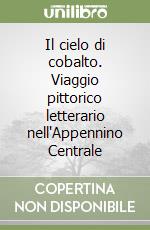 Il cielo di cobalto. Viaggio pittorico letterario nell'Appennino Centrale libro