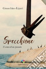 Specchione. Il senso di un passato libro