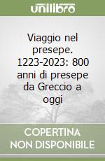 Viaggio nel presepe. 1223-2023: 800 anni di presepe da Greccio a oggi