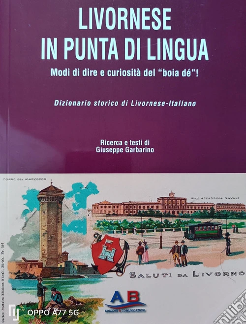 Livornese in punta di lingua. Modi di dire e curiosit� del �boia d�
