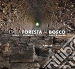 Dalla foresta al bosco. La lignite del Valdarno e la centrale di Santa Barbara. Parte prima: la foresta sommersa. Ediz. illustrata libro