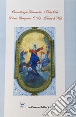 Canti liturgici Parrocchia «Mater Dei». Palma Campania (Na). Diocesi di Nola. Ediz. illustrata libro