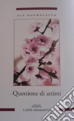 Questione di attimi libro