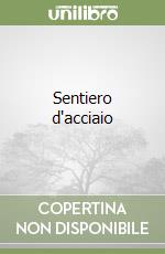 Sentiero d'acciaio