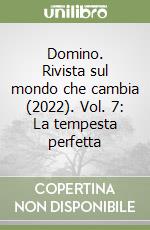 Domino. Rivista sul mondo che cambia (2022). Vol. 7: La tempesta perfetta libro