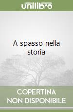 A spasso nella storia libro