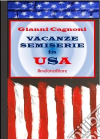 Vacanze semiserie in USA libro